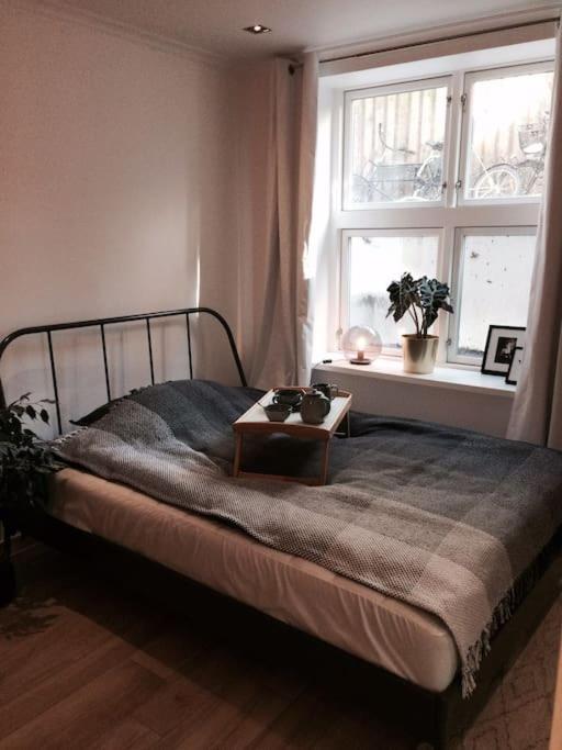 Apartment Mezzanine Design Furnished & 3m2 For Center